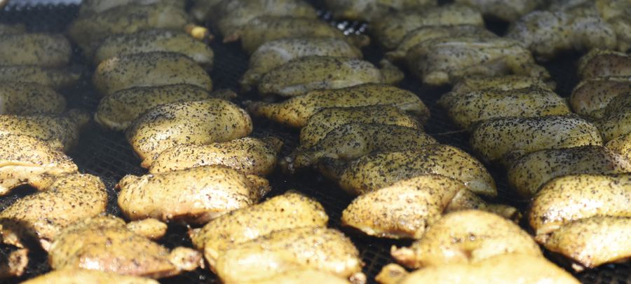Rows of seasoned chicken pieces cooking on a grill grate.