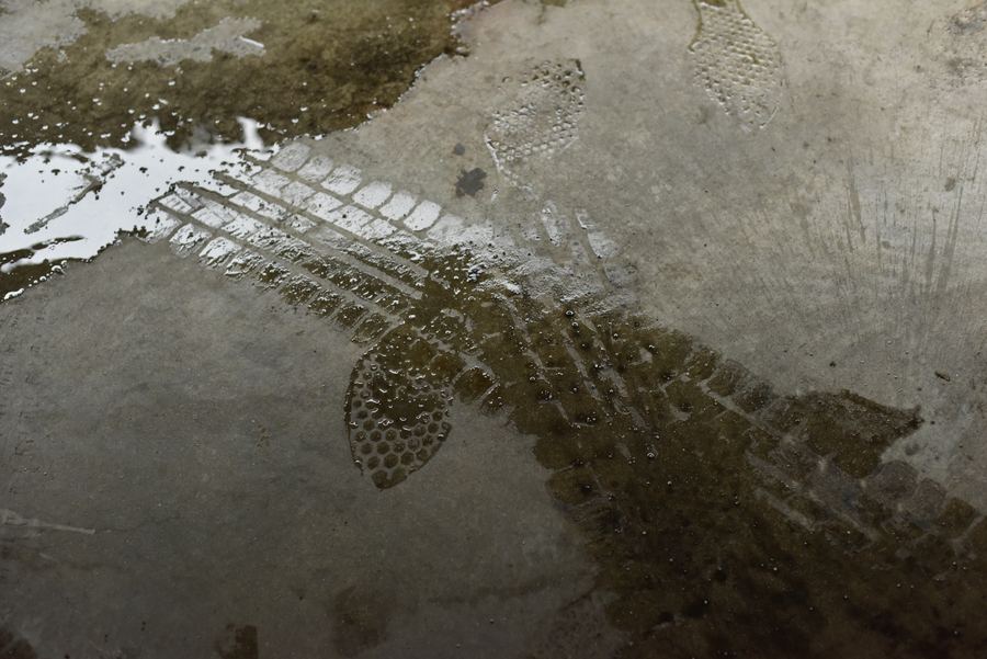 Tire tracks and footprints cross a wet concrete surface.